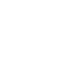 pizza slice